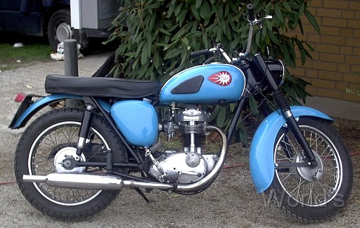 OldiesVet 046.jpg